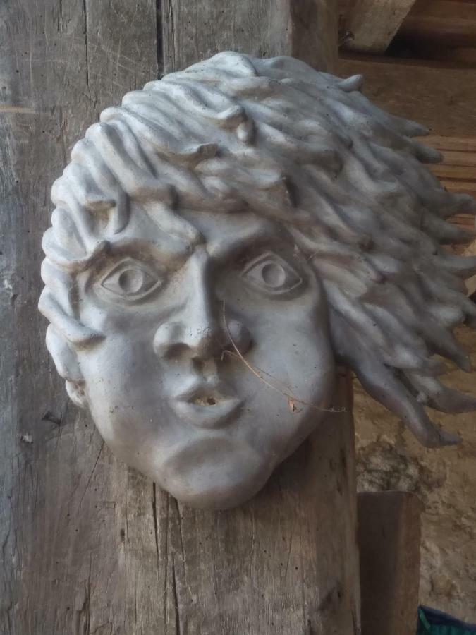 Meuble De Tourisme La Maison D'Orgy Chevannes  Bagian luar foto